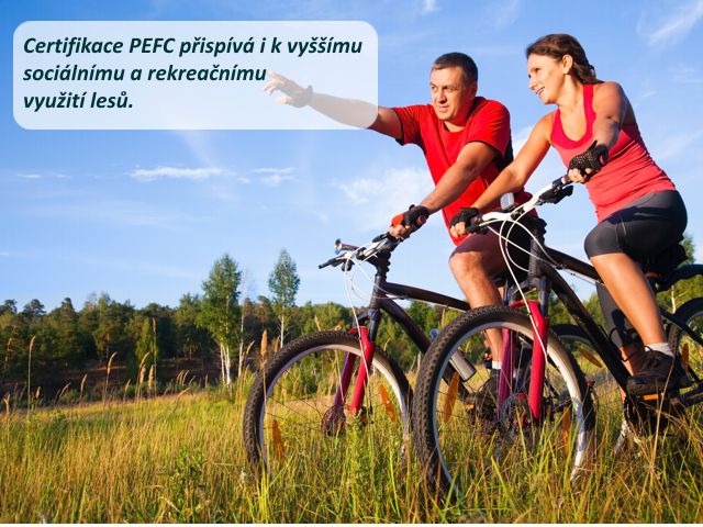 certifikace pefc4
